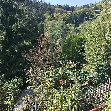 Exklusive Miro 25 M² In Ruhiger Lage Appartement
